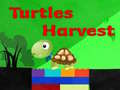 Lalao Turtles Harvest