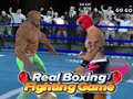 Lalao Real Boxing Fighting Game