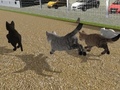 Lalao Run Cat Cat Race