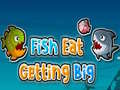 Lalao Fish Eat Getting Big