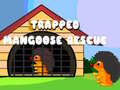 Lalao Trapped Mangoose Rescue