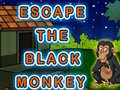 Lalao Escape The Black Monkey