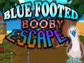 Lalao Blue Footed Booby Escape