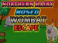 Lalao Northern hairy nosed wombat Escape