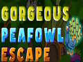 Lalao Gorgeous Peafowl Escape