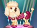 Lalao My Cute Dog Daisy
