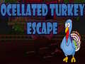 Lalao Ocellated Turkey Escape