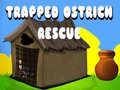 Lalao Trapped Ostrich Rescue