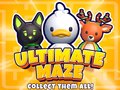 Lalao Ultimate Maze! Collect Them All!