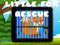 Lalao Little Fox Rescue