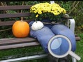 Lalao Autumn Garden Find 100 butterflies