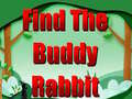 Lalao Find The Buddy Rabbit