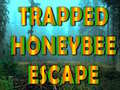 Lalao Trapped Honeybee Escape