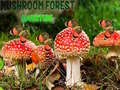 Lalao Mushroom Forest Adventure