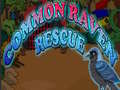 Lalao Common Raven Rescue