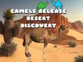 Lalao Camels Release Desert Discovery