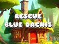 Lalao Rescue Blue Dacnis