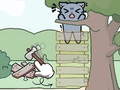 Lalao Catch The Cat