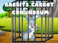 Lalao Rabbits Carrot Conundrum
