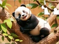 Lalao Jigsaw Puzzle: Panda On Tree