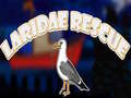 Lalao Laridae Rescue