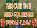 Lalao Rescue The Red Squirrel From Cage