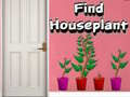 Lalao Find Houseplant