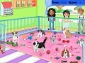 Lalao Puppy Pet Care