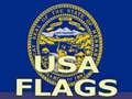 Lalao Usa Flags 