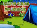 Lalao Rescue The Green Toad From Underground