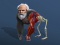 Lalao Idle Evolution From Cell To Human