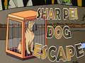 Lalao Shar Pei Dog Escape