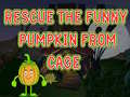 Lalao Rescue The Funny Pumpkin From Cage