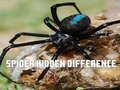 Lalao Spider Hidden Difference