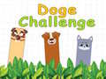 Lalao Doge Challenge