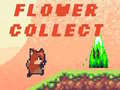 Lalao Flower Collect