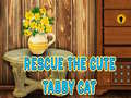 Lalao Rescue The Cute Tabby Cat