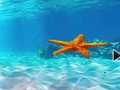 Lalao Escape From Underwater Starfish