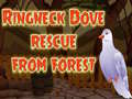 Lalao Ringneck Dove Rescue From Forest