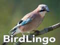 Lalao BirdLingo