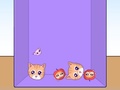 Lalao Evolution of Cat Memes