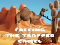 Lalao Freeing the Trapped Camel