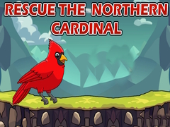 Lalao Rescue The Northern Cardinal