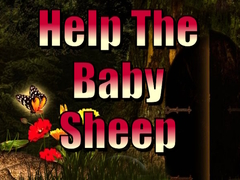 Lalao Help The Baby Sheep