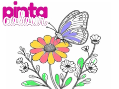 Lalao Pinta Colour
