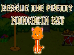 Lalao Rescue The Pretty Munchkin Cat
