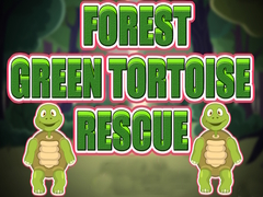 Lalao Forest Green Tortoise Rescue