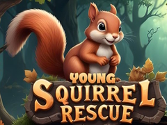 Lalao Young Squirrel Rescue