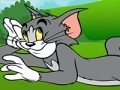 Lalao Tom and Jerry ATV Adventure
