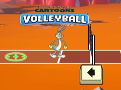 Lalao Looney Tunes Cartoons Volleyball